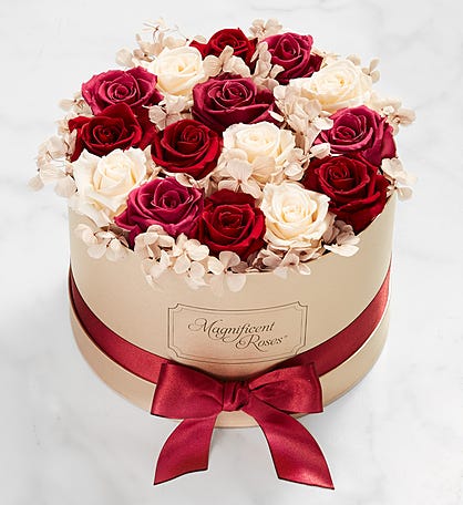 Magnificent Roses® Preserved Victorian Antique Roses
